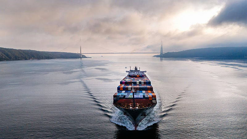 Container ship navigating under bridge - International transport and logistics